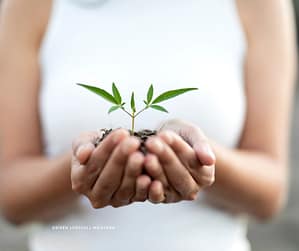 langsame Veränderungen