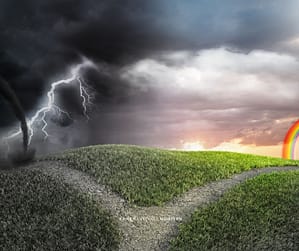 wo will ich hin Scheideweg